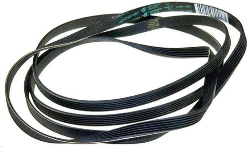 C00313102 Belt