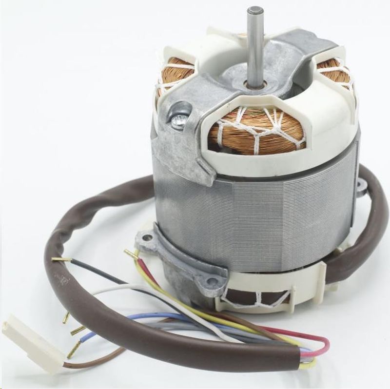 Motor
